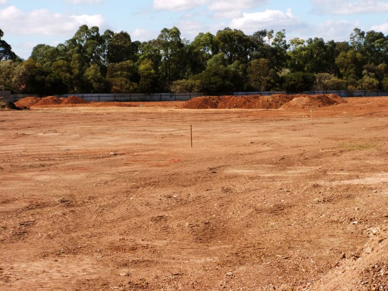 Site Preparation and Grading
