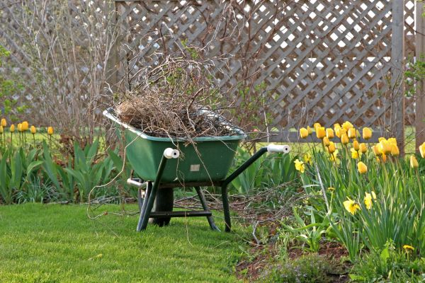 Flower Bed Cleanup Service in Auburn