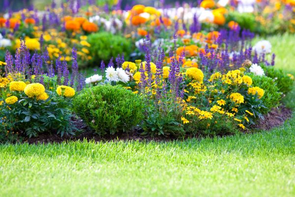 Flower Bed Maintenance in Auburn