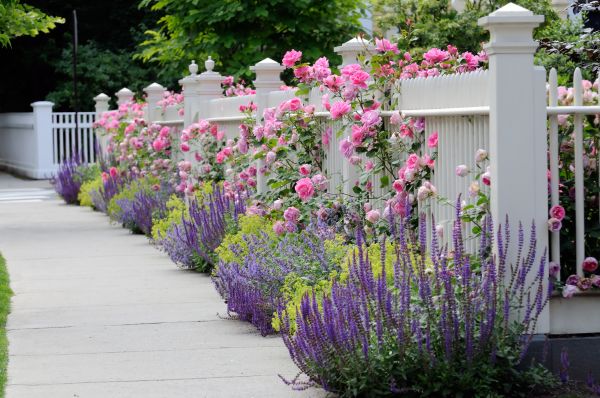 Garden Handyman Service in Auburn