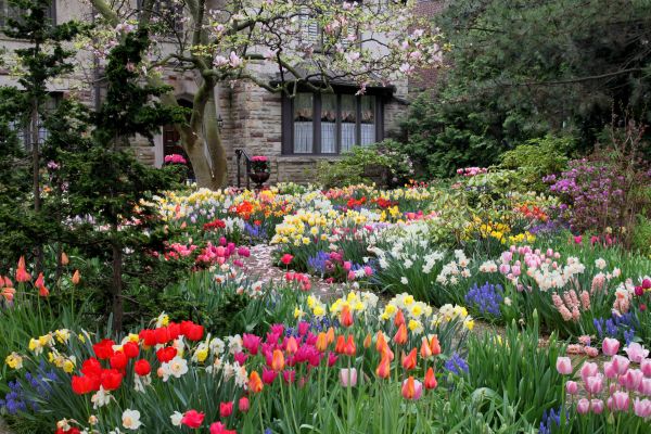 Garden Maintenance Service in Auburn
