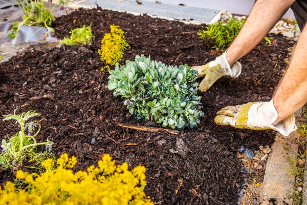 Weeding And Mulching in Auburn
