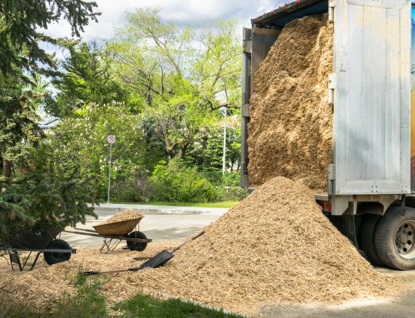 Wood Chips Delivery in Auburn