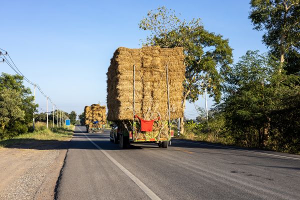 Pine Straw Delivery in Auburn