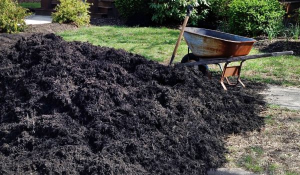Black Mulch Delivery in Auburn