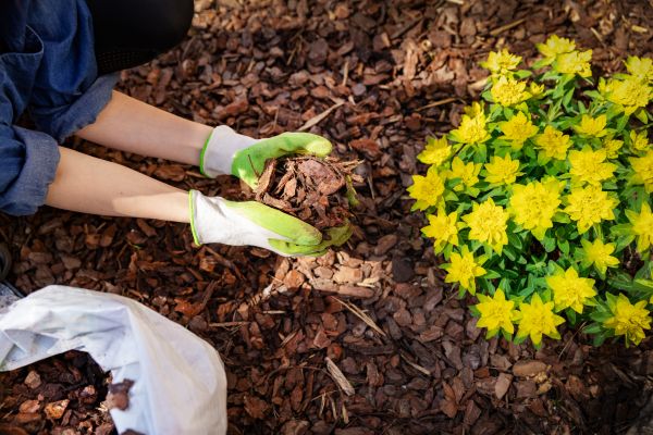 Garden Mulching in Auburn