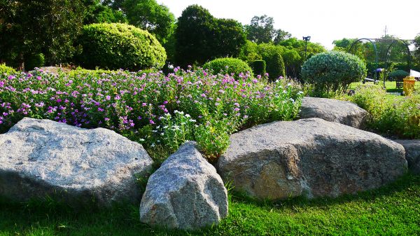 Boulder Landscaping in Auburn