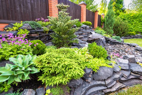Landscape Remodeling in Auburn