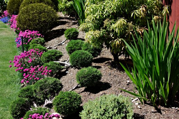 Residential Gardening in Auburn