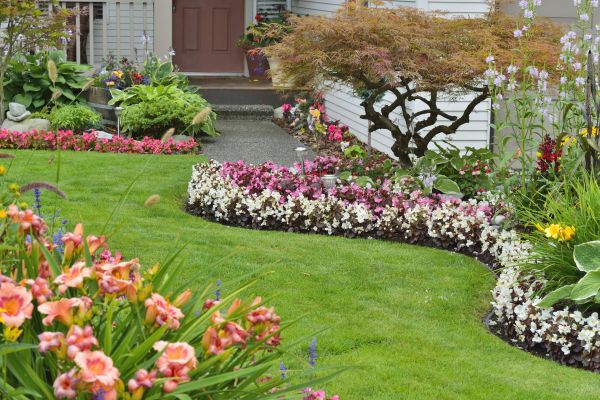 Perennial Landscaping in Auburn