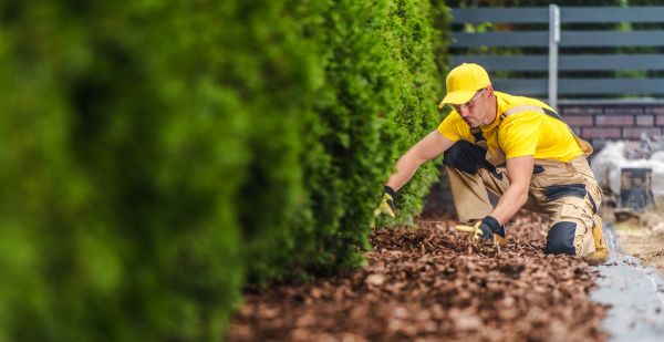 Cypress Mulch Installation in Auburn