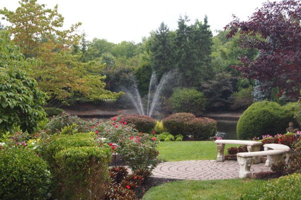 Courtyard Design Service in Auburn