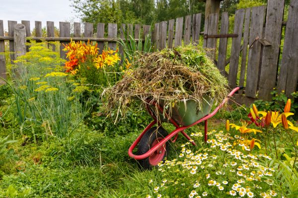 Garden Cleanup Service in Auburn