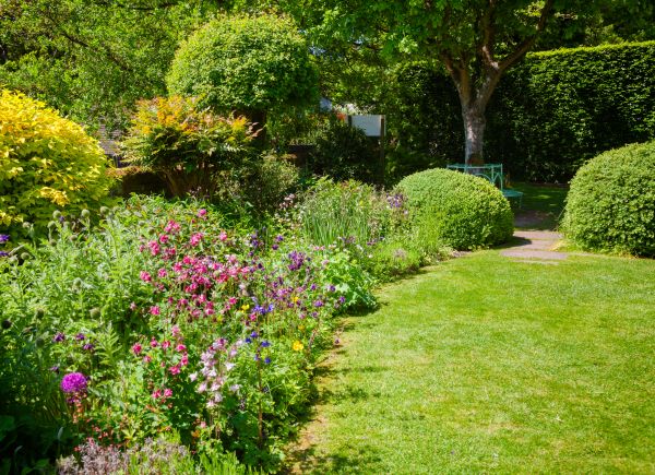 Yard Landscaping Service in Auburn