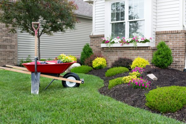 Tree And Shrub Planting in Auburn