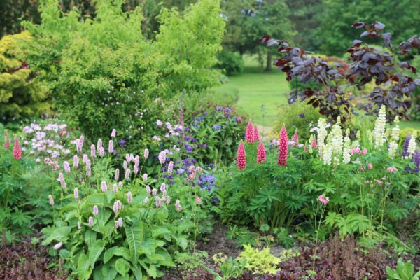 Flower Bed Planting in Auburn