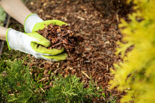 Garden Mulch Delivery in Auburn