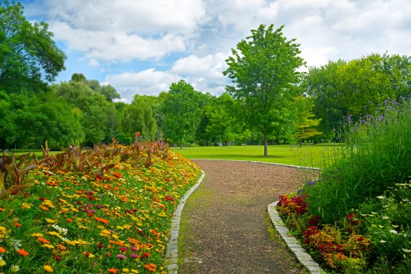 Park Landscaping in Auburn