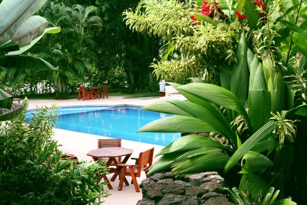 Tropical Garden Landscaping in Auburn