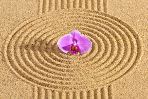 Sand Garden Landscaping in Auburn
