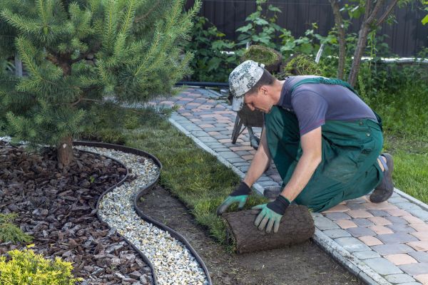 Landscaping Modification in Auburn