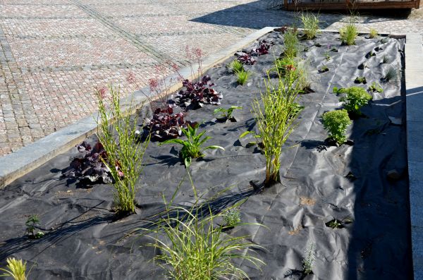 Landscape Fabric Installation in Auburn