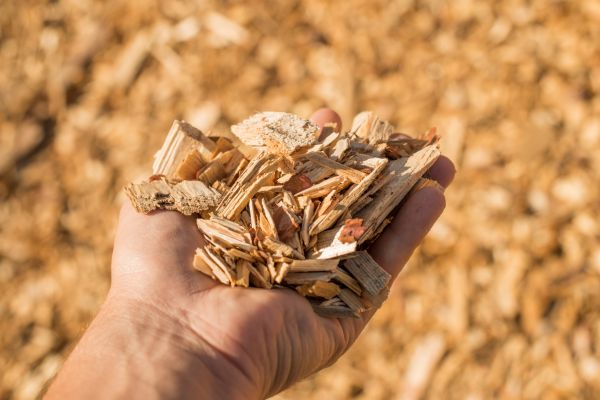 Wood Chips Spreading in Auburn