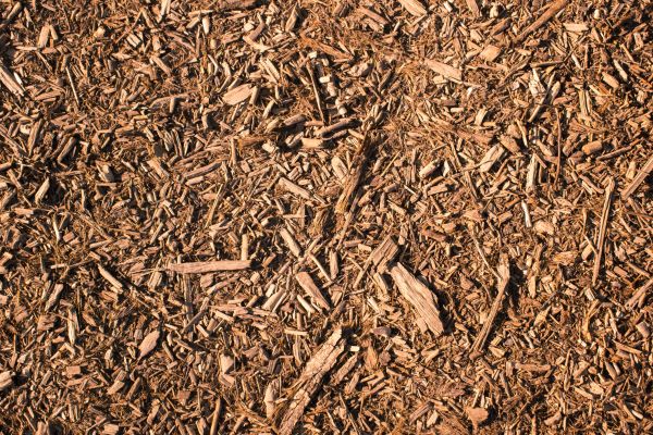 Wood Chips Removal in Auburn