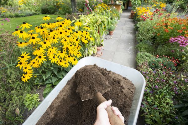 Topsoil Replacement in Auburn