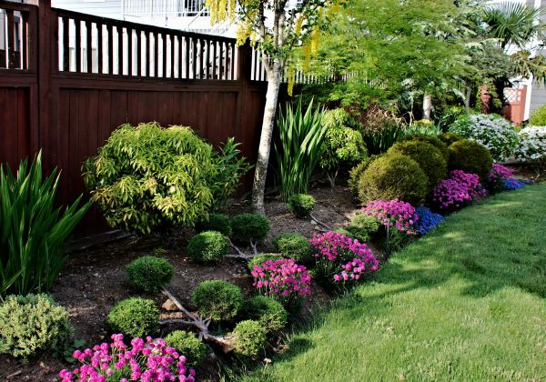 Garden Bed Construction in Auburn