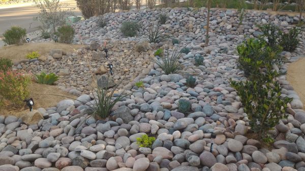 Yard Xeriscaping in Auburn