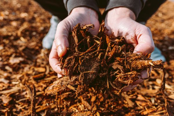 Bark Chips Delivery in Auburn