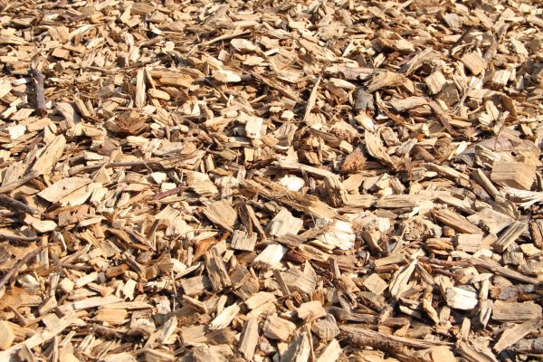 Wood Mulch Delivery in Auburn