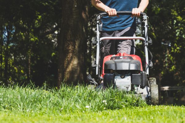 Garden Trimming Service in Auburn