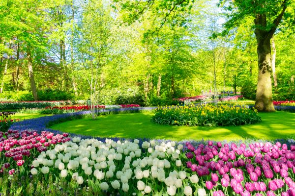 Flower Landscaping in Auburn