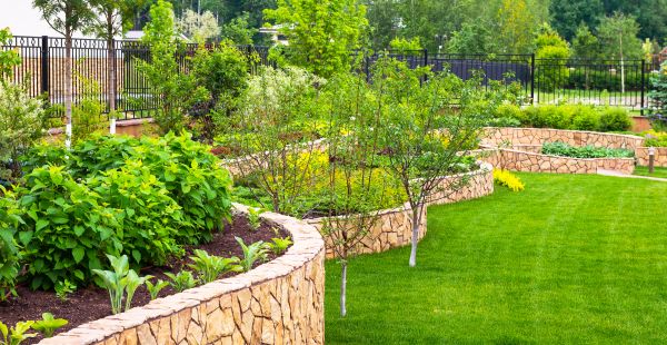 Yard Makeover Service in Auburn