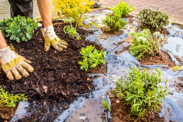 Mulch Fabric Installation in Auburn