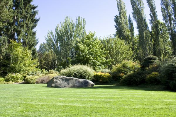 Yard Enlargement in Auburn