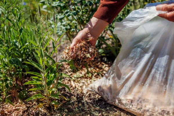 Wood Mulch Installation in Auburn