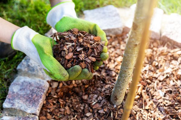 Tree Bark Delivery in Auburn