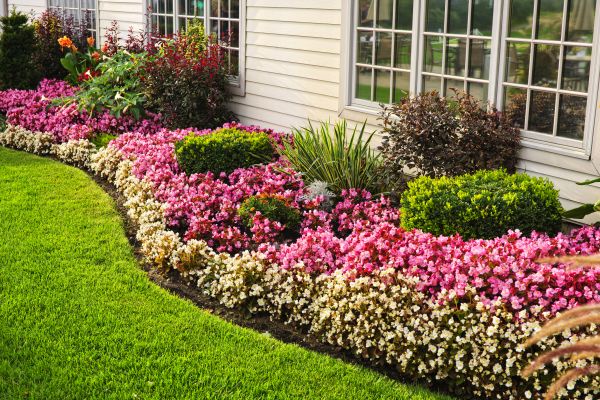 Garden Landscape Design in Auburn
