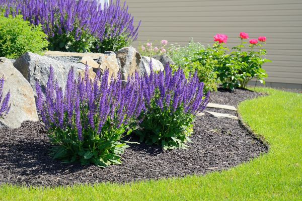 Landscape Planting Service in Auburn