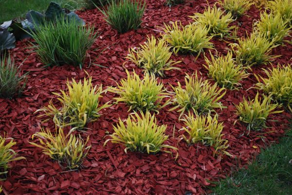 Red Mulch Installation in Auburn