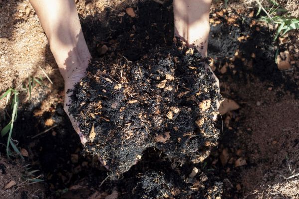 Organic Mulch Installation in Auburn