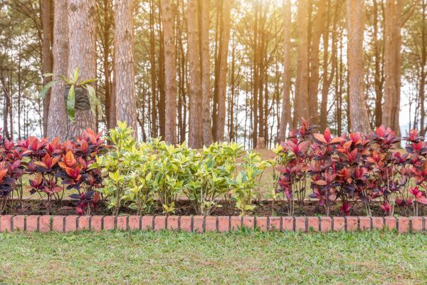 Small Garden Landscaping in Auburn