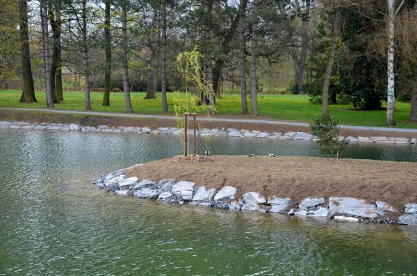 Pond Landscaping Service in Auburn