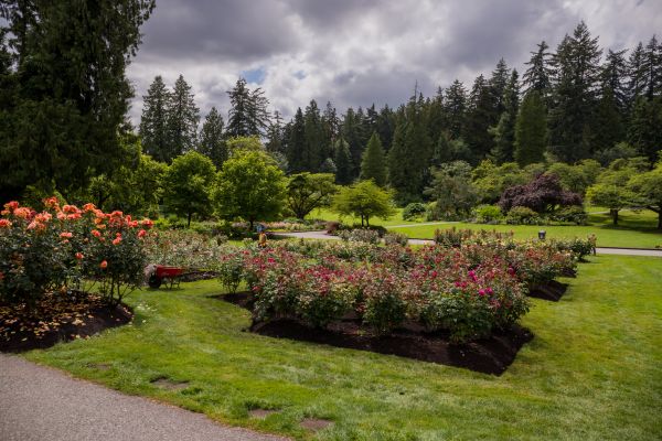 Flower Garden Landscaping in Auburn