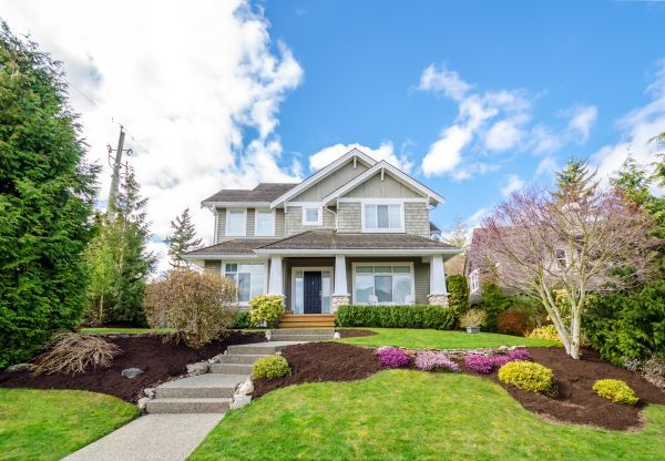 Landscaping Replacement in Auburn
