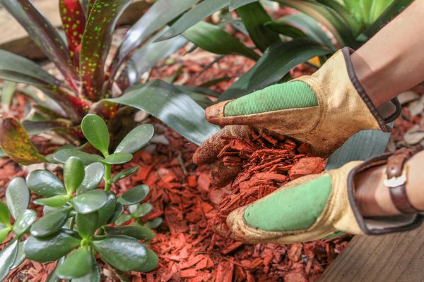 Residential Mulching in Auburn