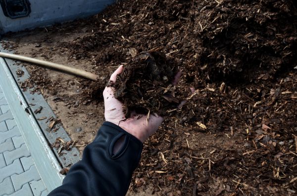 Condo Mulching in Auburn